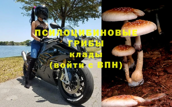 гашишное масло Инсар