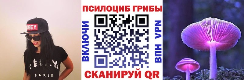 Псилоцибиновые грибы Psilocybe  Горняк 